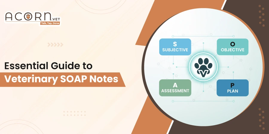 2025/2026 Essential guide to veterinary SOAP notes by Acorn.vet, highlighting essential components for effective animal health documentation for veterinary professionals.