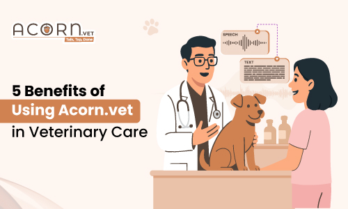 Top 5 Benefits of Acorn.vet Veterinary Medical Record Software