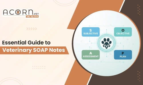 2025/2026 Essential guide to veterinary SOAP notes by Acorn.vet, highlighting essential components for effective animal health documentation for veterinary professionals.