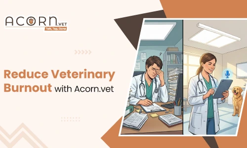 Beat Veterinary Burnout with Acorn.vet’s AI Veterinary Scribe