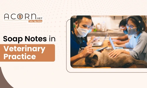 What Does SOAP Stand For? Veterinary SOAP Notes Explained