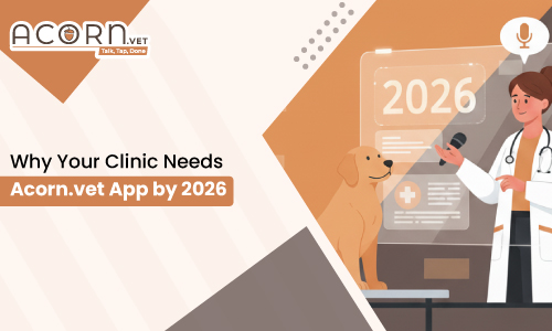 Why Every Vet Clinic Needs Acorn.vet (Speech-to-Text App) by 2026